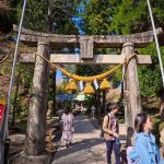 Project 47 Ep 3: Sakura Mountain Roads & Mt. Aso Adventure – Day 1/5