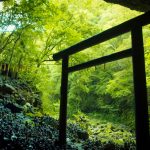 Project 47 Ep 2: Miyazaki’s Hidden Shrines & Wild Coastline Camping – 4-Day Ride