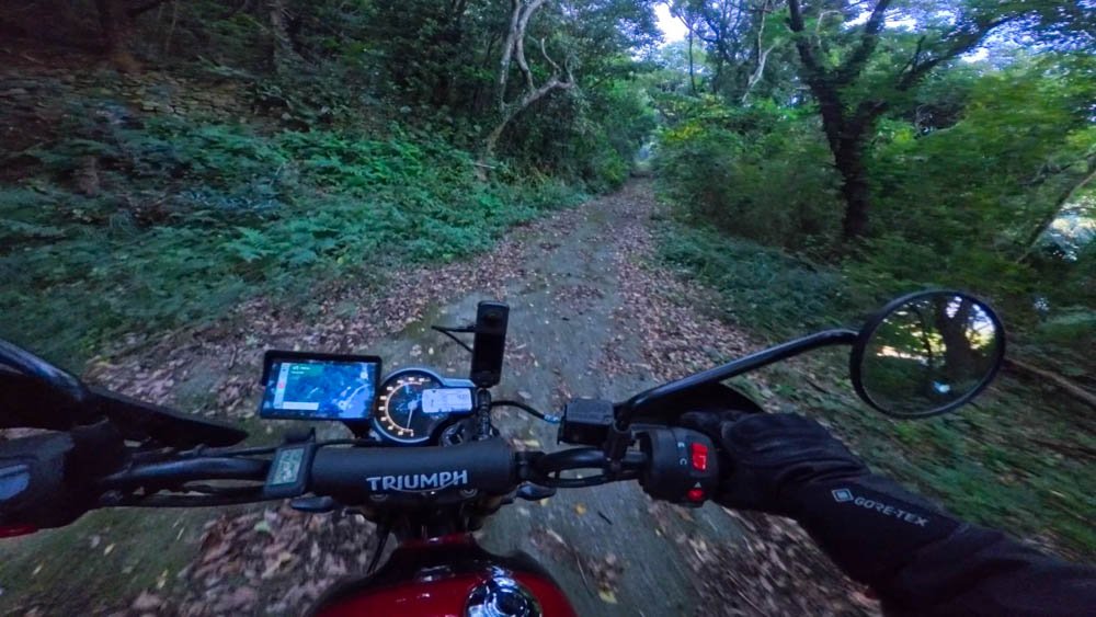 Rider’s view from a Triumph motorcycle on a narrow leaf-covered forest road in Ehime