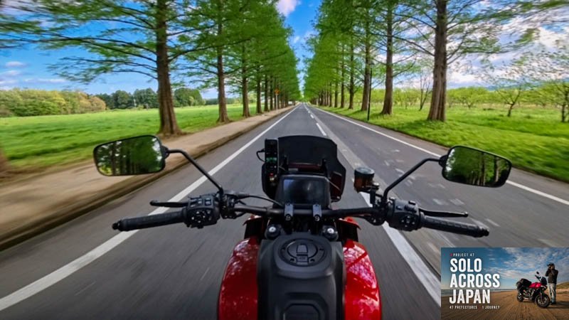 Motorcycle riding down the tree-lined Metasequoia Avenue in Shiga, Japan