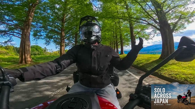 Solo motorcycle rider travelling through Metasequoia Avenue in Shiga, Japan